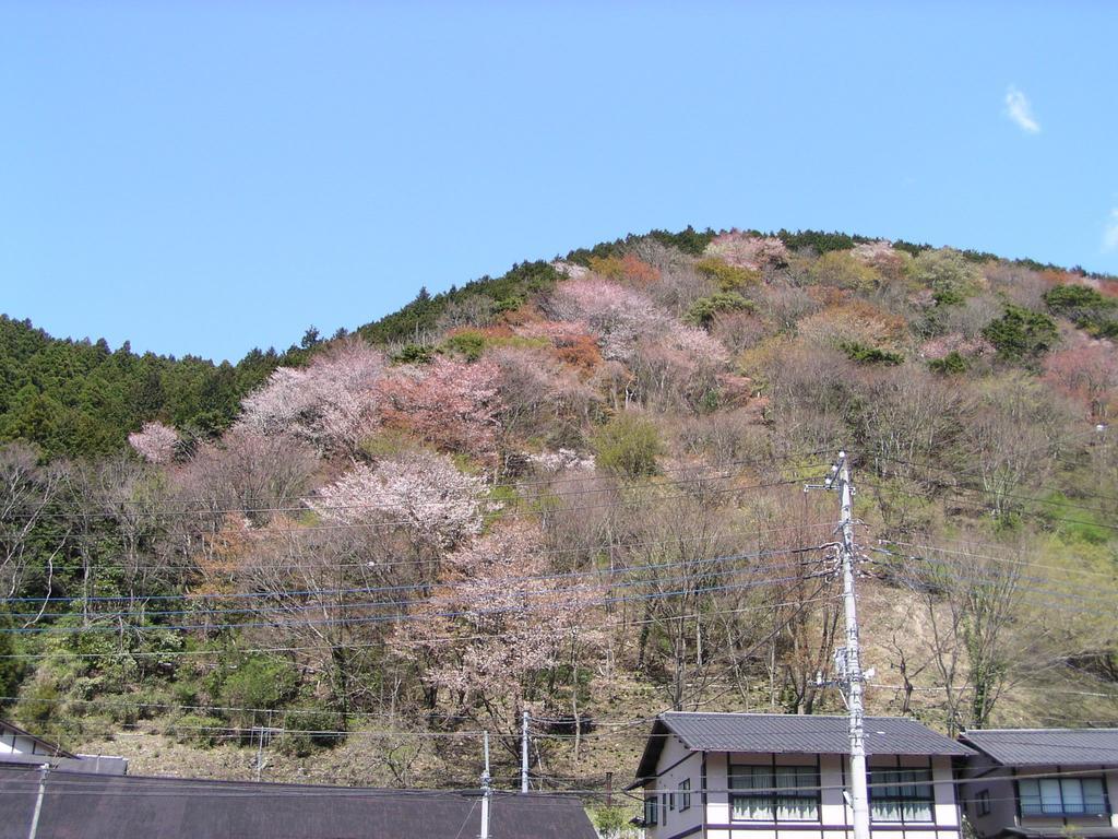 Hotel Irorino Yado Sankichi Izu  Zewnętrze zdjęcie